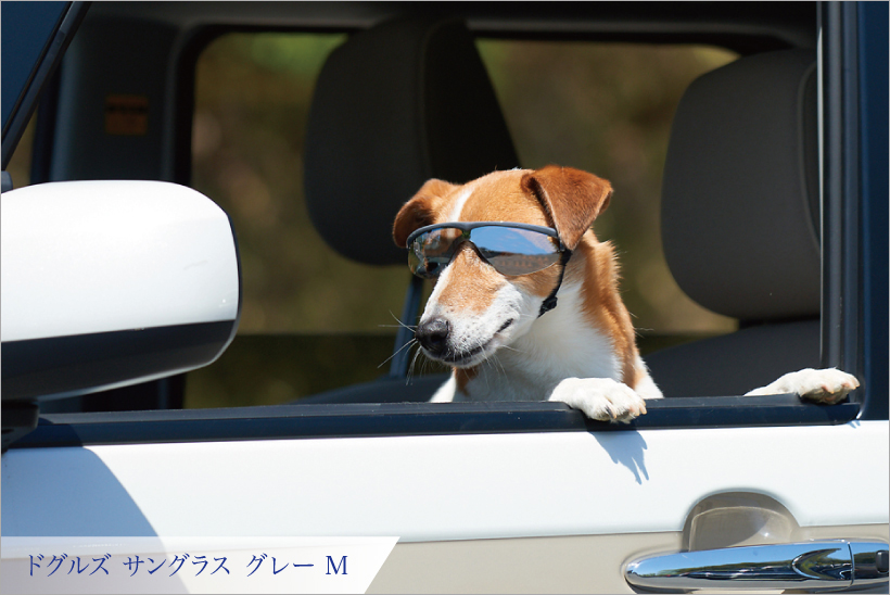 ドグルズ サングラス グレー