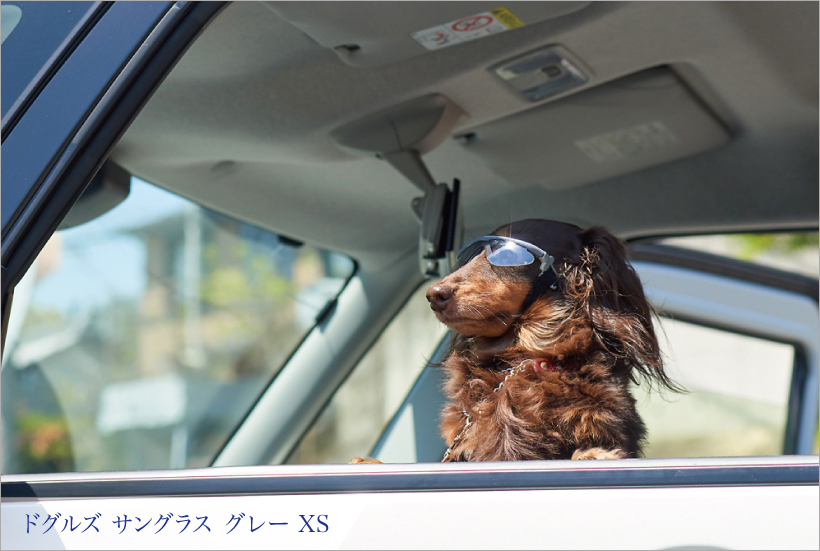 ドグルズ サングラス グレー
