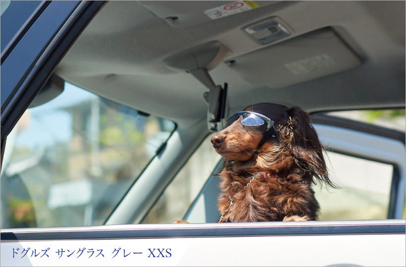 ドグルズ サングラス グレー