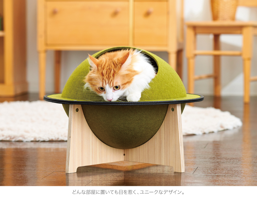 キャットハウスどらやき