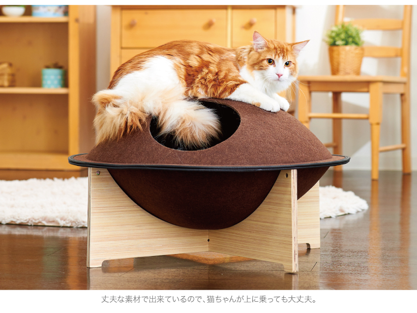 キャットハウスどらやき