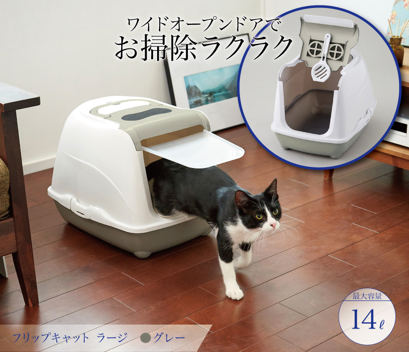 フリップキャット