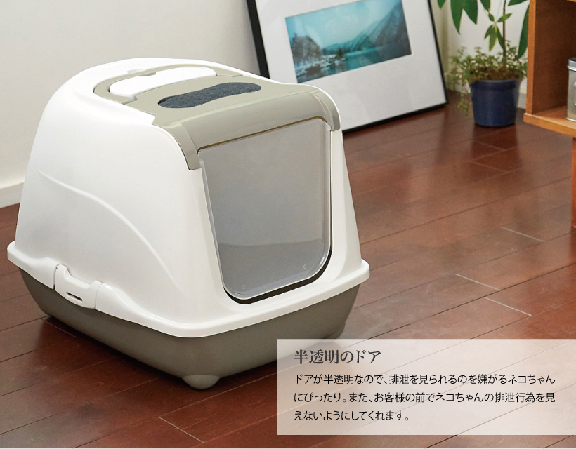 フリップキャット