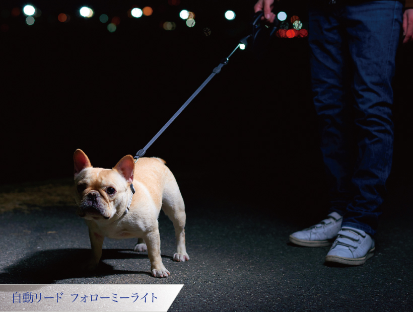 自動リード フォローミーライト