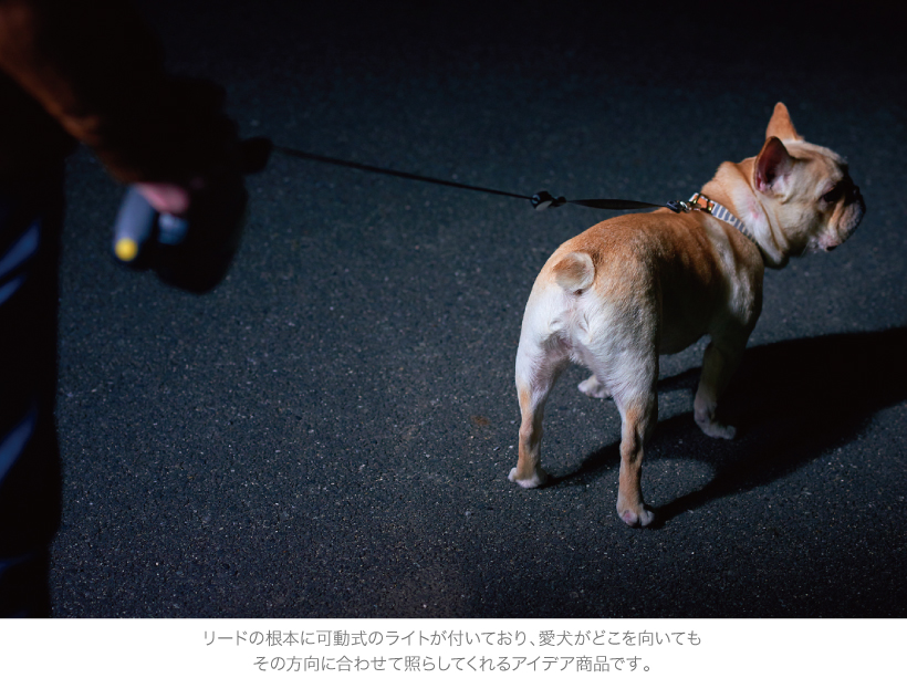 自動リード フォローミーライト