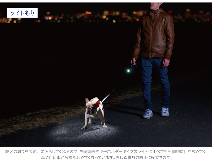 自動リード フォローミーライト