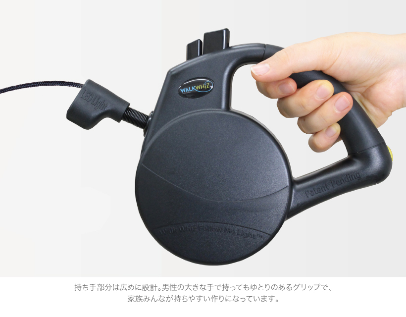 自動リード フォローミーライト