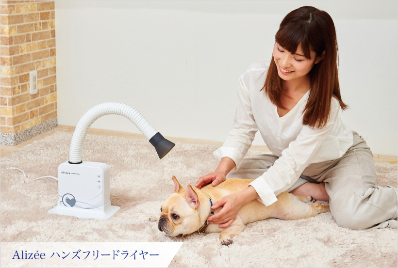 Alizéeハンズフリードライヤー
