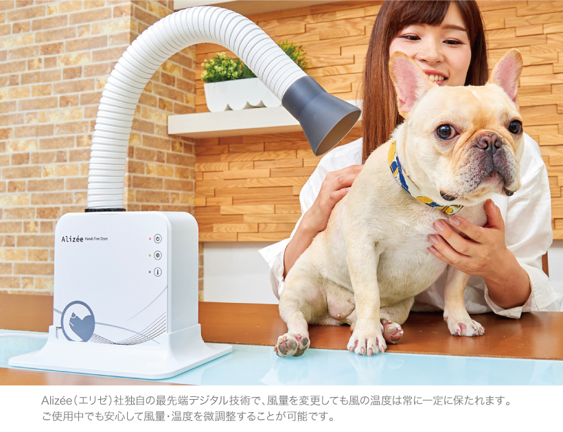 Alizeeハンズフリードライヤー