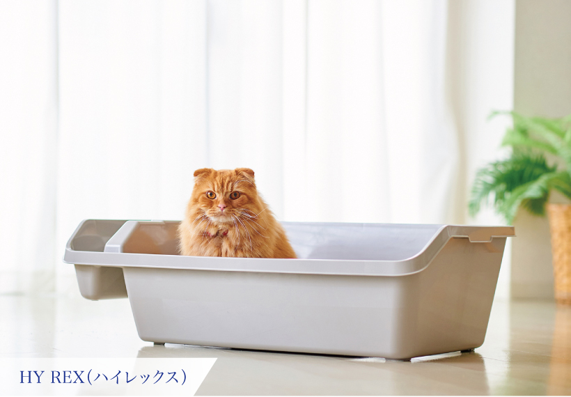 HY REX(ハイレックス)