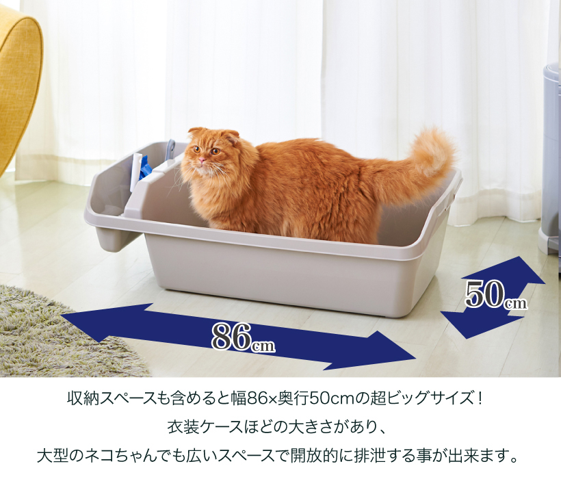 HY REX(ハイレックス)