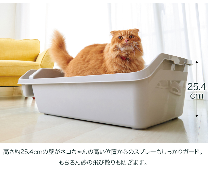 HY REX(ハイレックス)