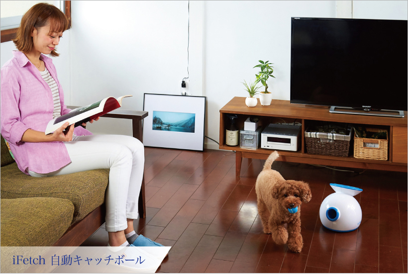 iFetch 自動キャッチボール