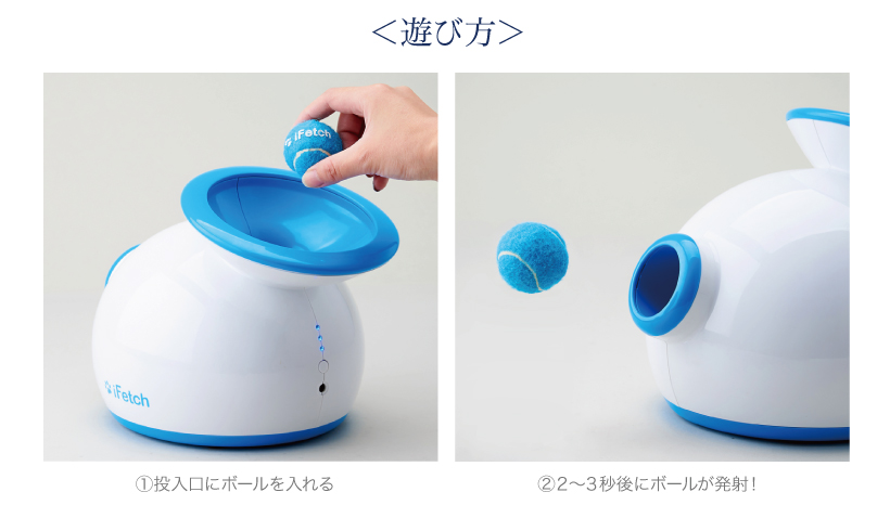 iFetch 自動キャッチボール