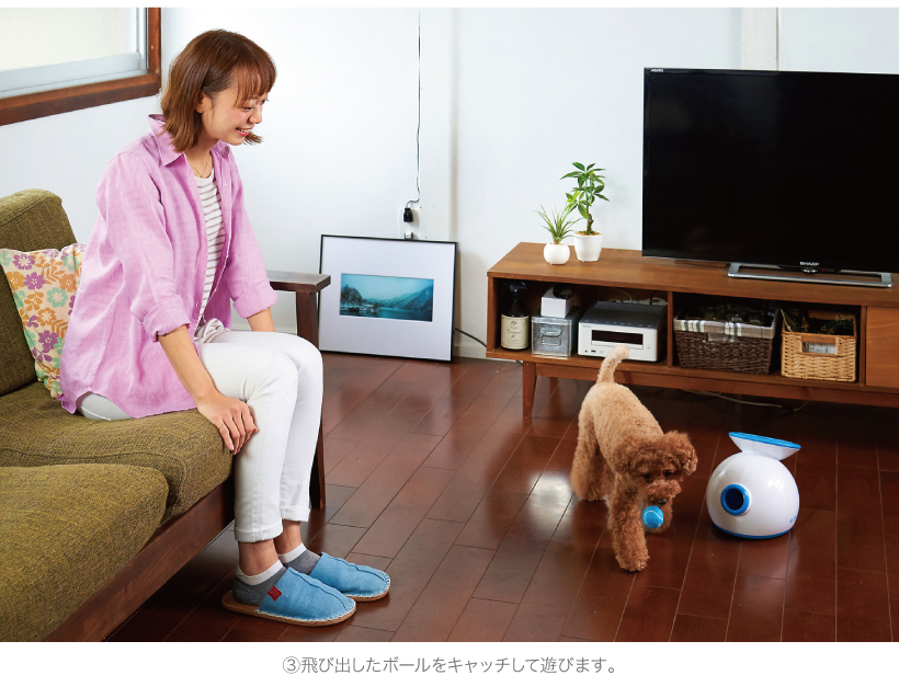 iFetch 自動キャッチボール