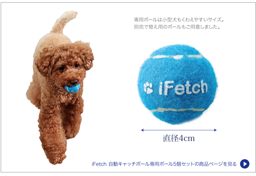 iFetch 自動キャッチボール
