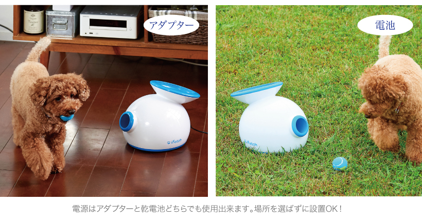iFetch 自動キャッチボール