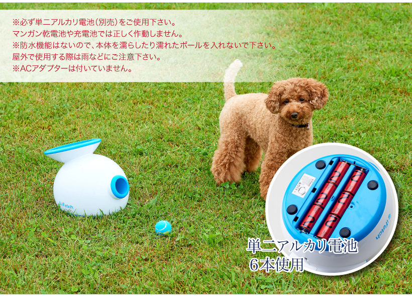 iFetch 自動キャッチボール