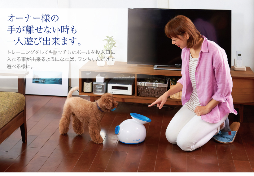 iFetch 自動キャッチボール