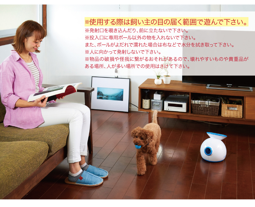 iFetch 自動キャッチボール