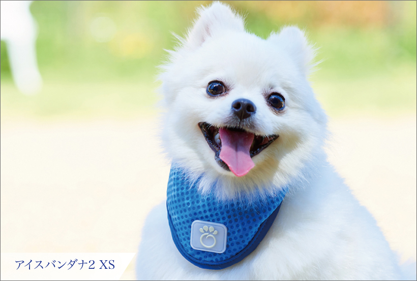 アイスバンダナ2