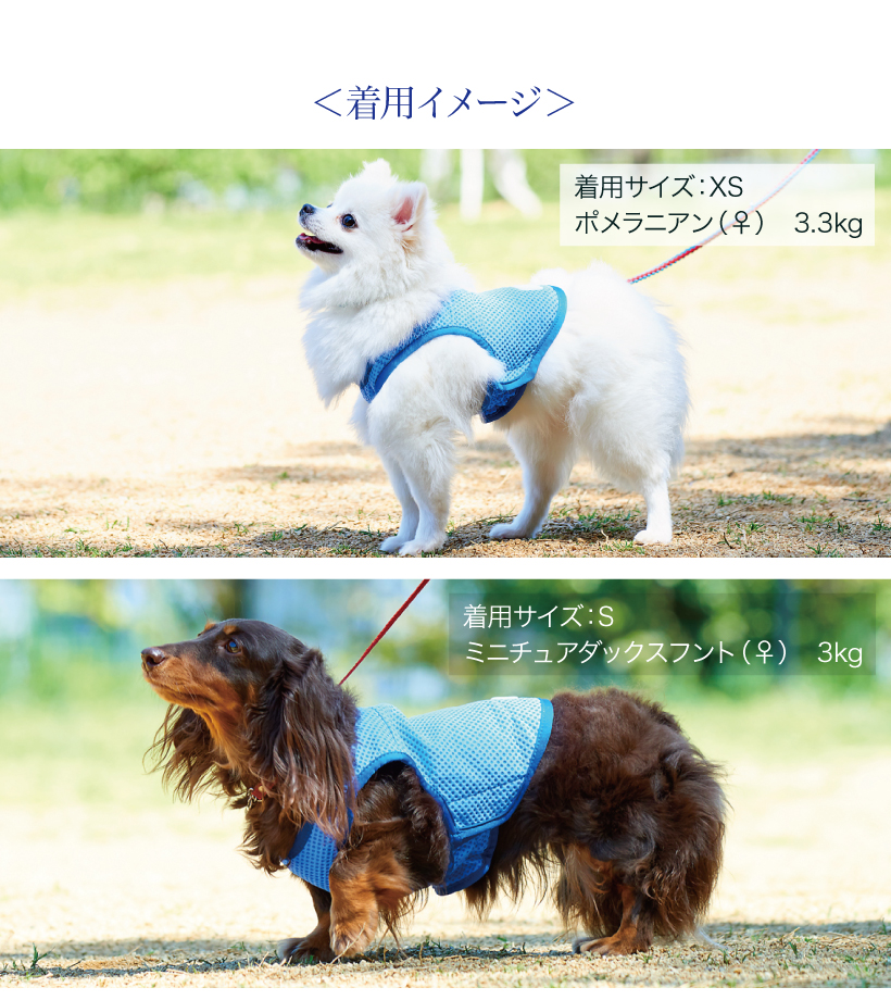 アイスベスト2