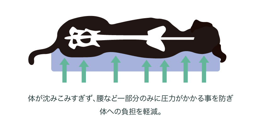 犬の介護マット クッションエアー