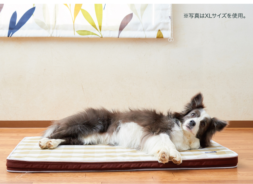 犬の介護マット クッションエアー