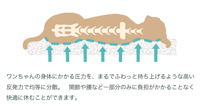 イラスト-体圧分散