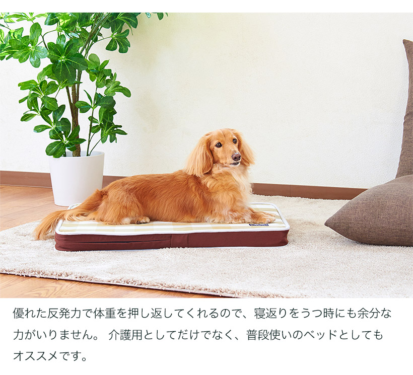普段使いのベッドとしても
