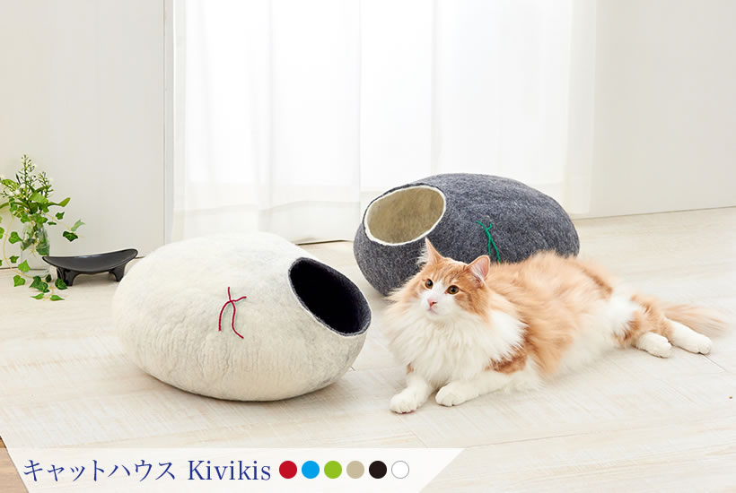 kivikis