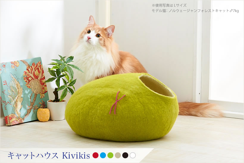 kivikis