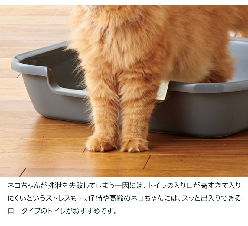 Kitty and Puppy Pan
