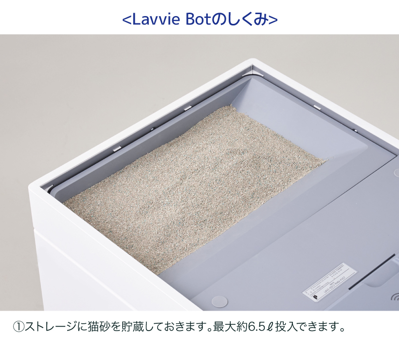 Lavvie Bot