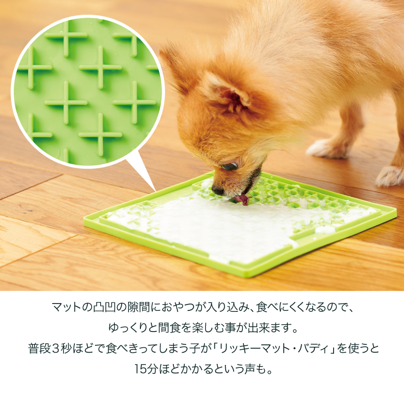 リッキーマット・バディ