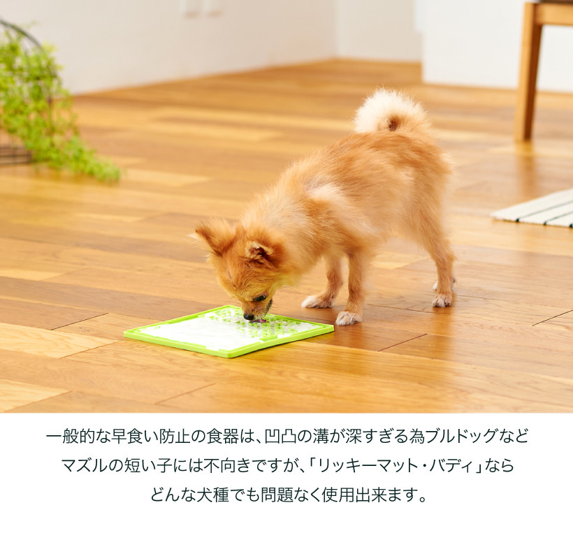 リッキーマット・バディ