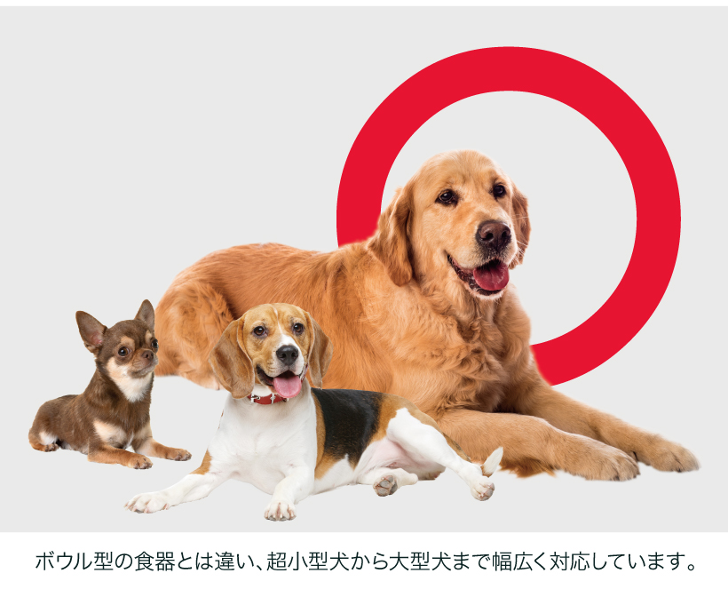 リッキーマット・バディ