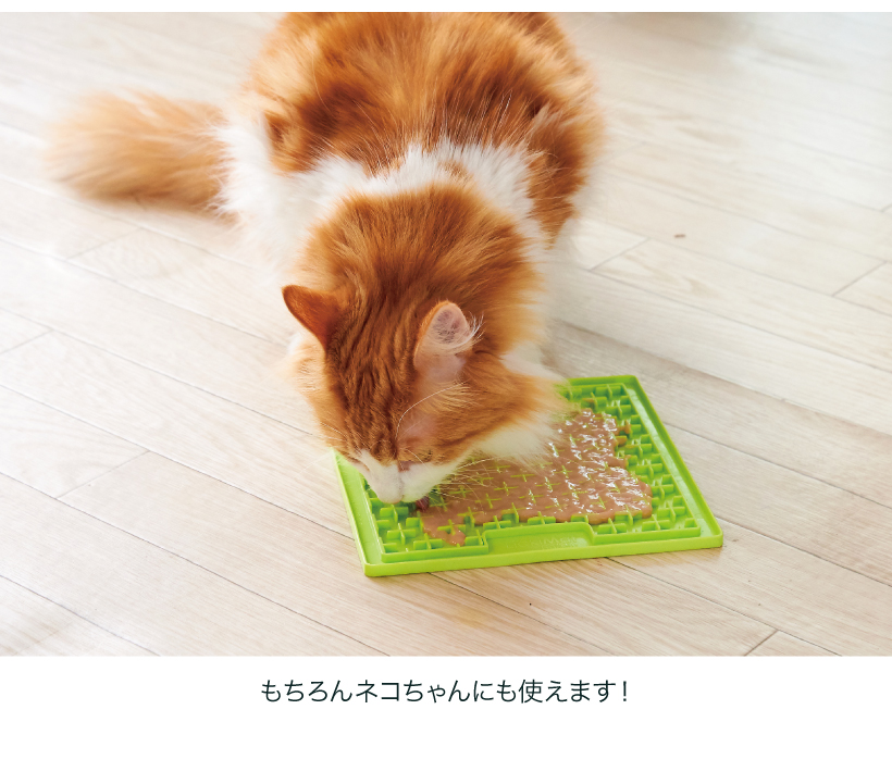 リッキーマット・バディ