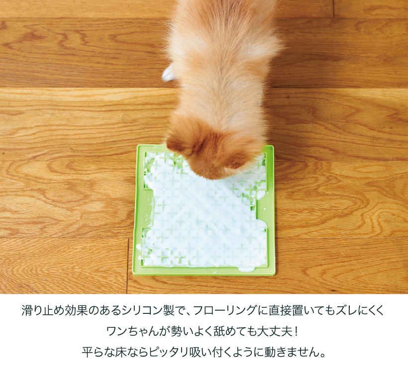 リッキーマット・バディ