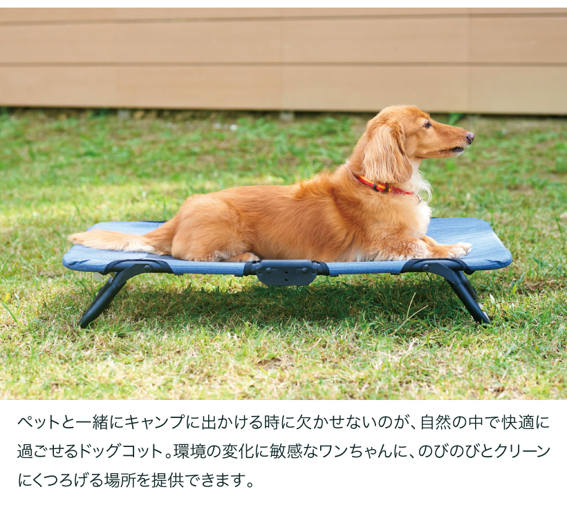 ライフスタイルペットコット