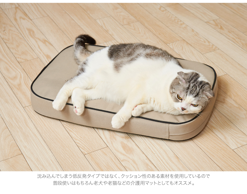ラウンジマット