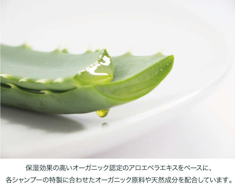 MAELSONシャンプー