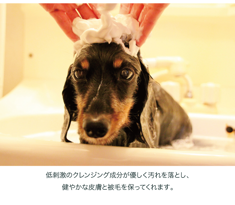 MAELSON 4FUR シャンプー