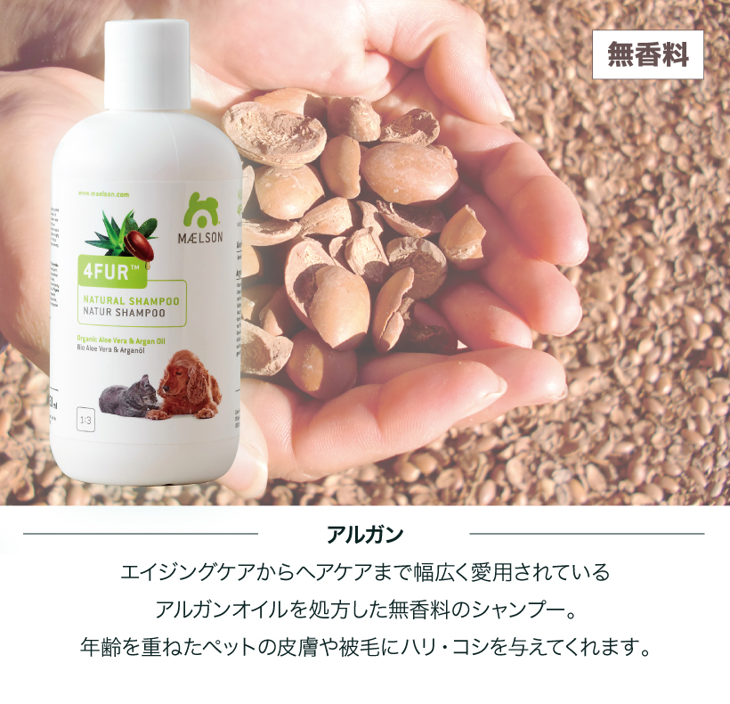 MAELSONシャンプー