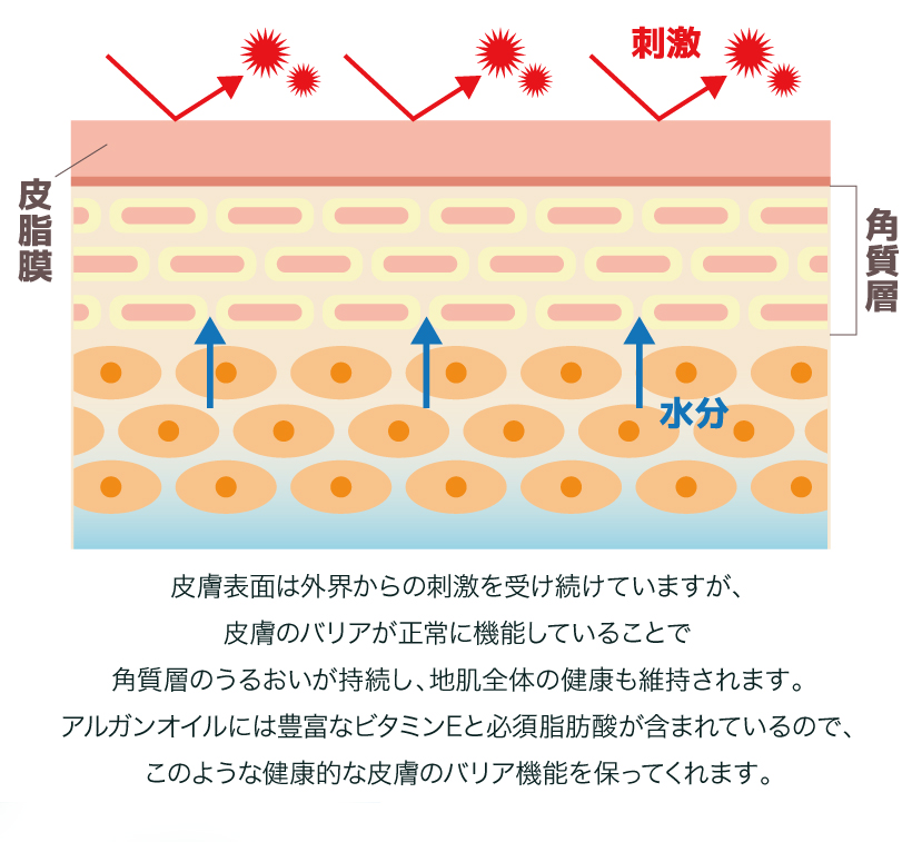 MAELSON 4FUR シャンプー