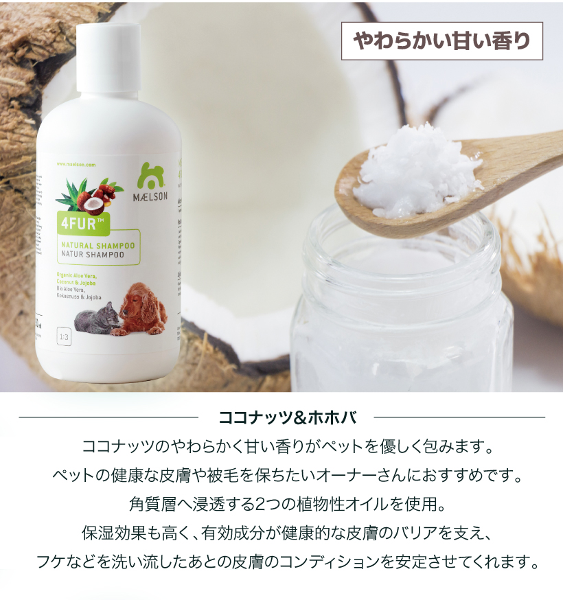 MAELSONシャンプー