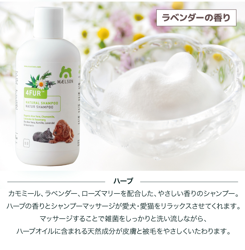 MAELSONシャンプー