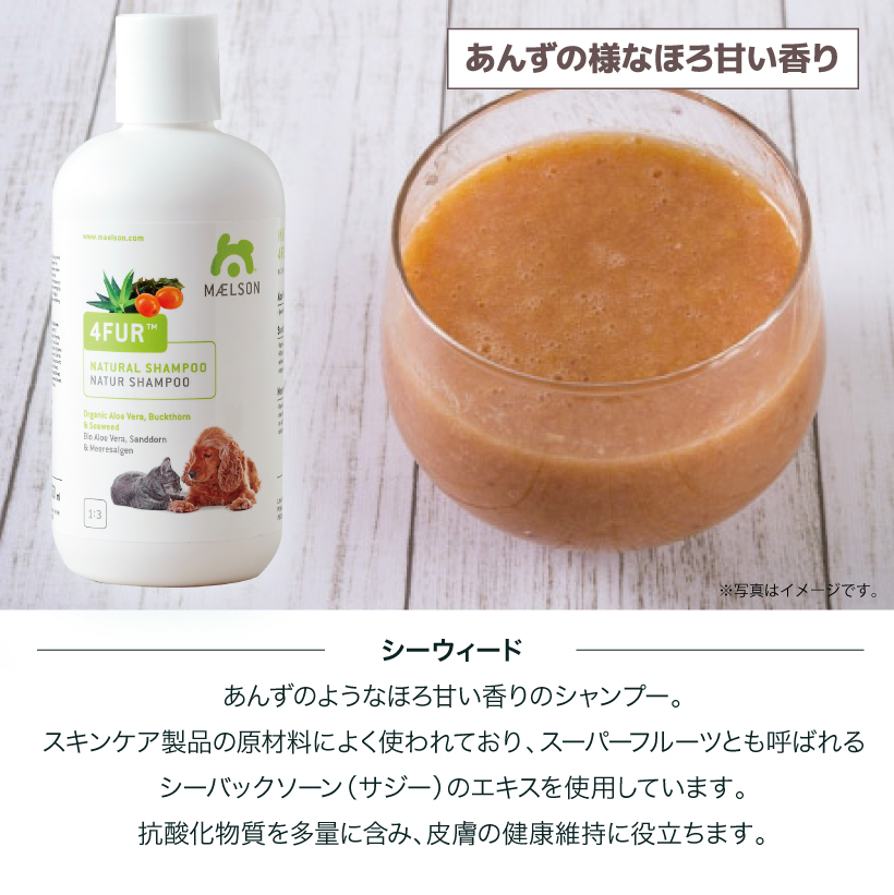 MAELSONシャンプー