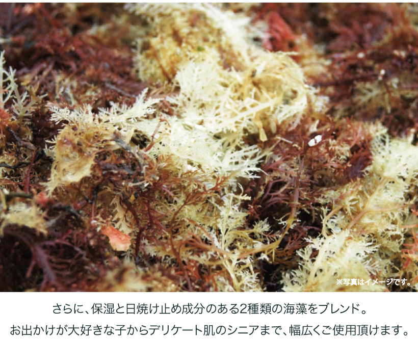 MAELSON 4FUR シャンプー