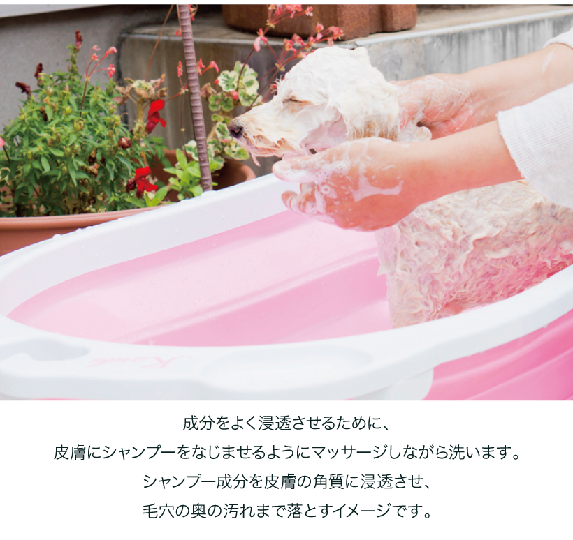 MAELSON 4FUR シャンプー